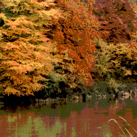 River Wye in autumn